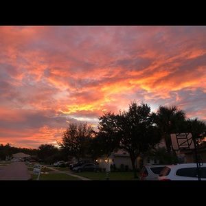 Meet your Posher, Dylan